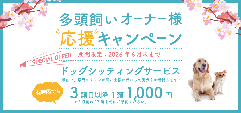 ３頭目1,000円　愛犬　預かり