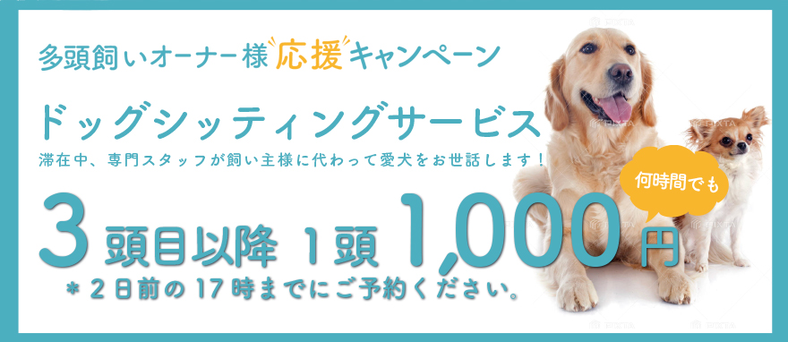 3頭目から1,000円! シッティングサービス フォレストワンブレイユ